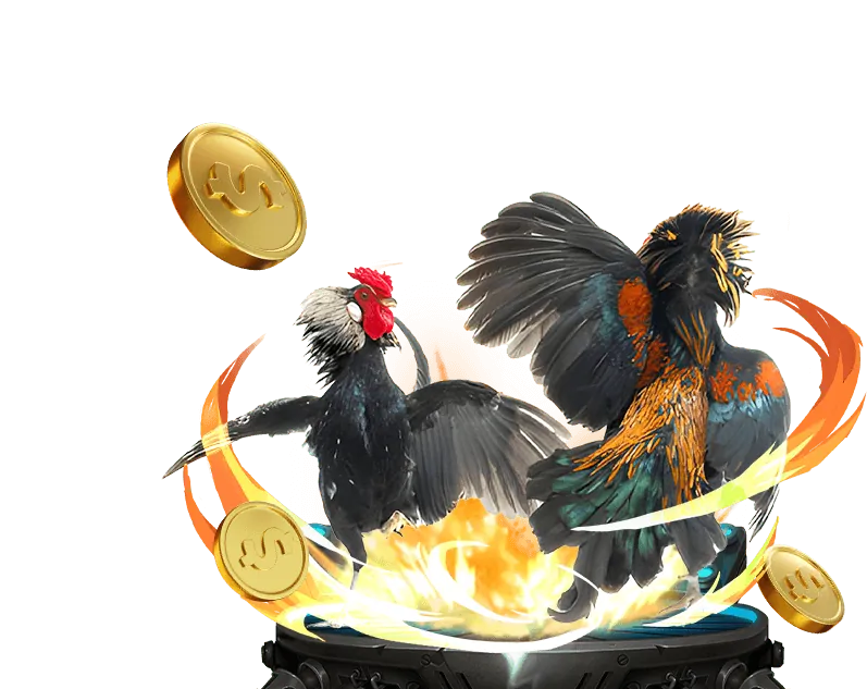 Trường gà trực tuyến combet